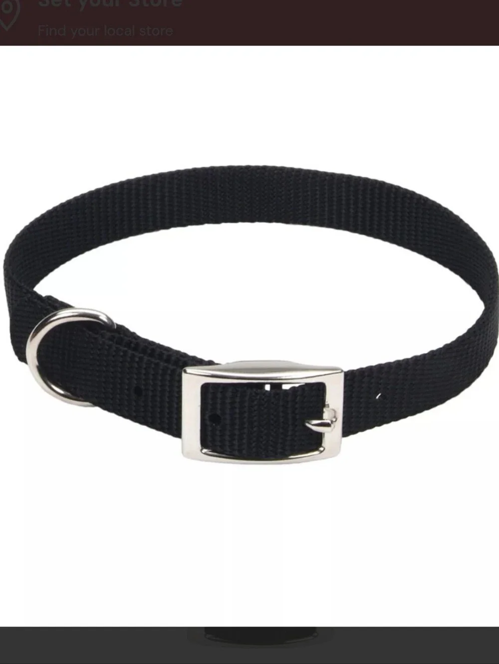 20 Inch Dog Collar with Metal D-Ring